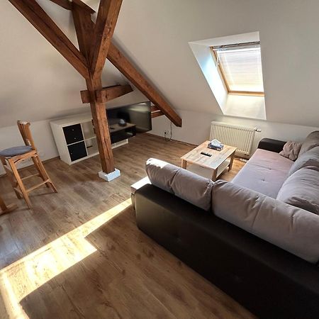 Apartmany U Kubiku Hradec Králové Dış mekan fotoğraf